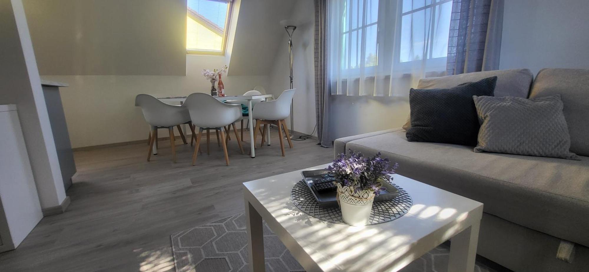 Private With Own Pool And Huge Garden, 150m To Longest Free At Balaton Apartment *