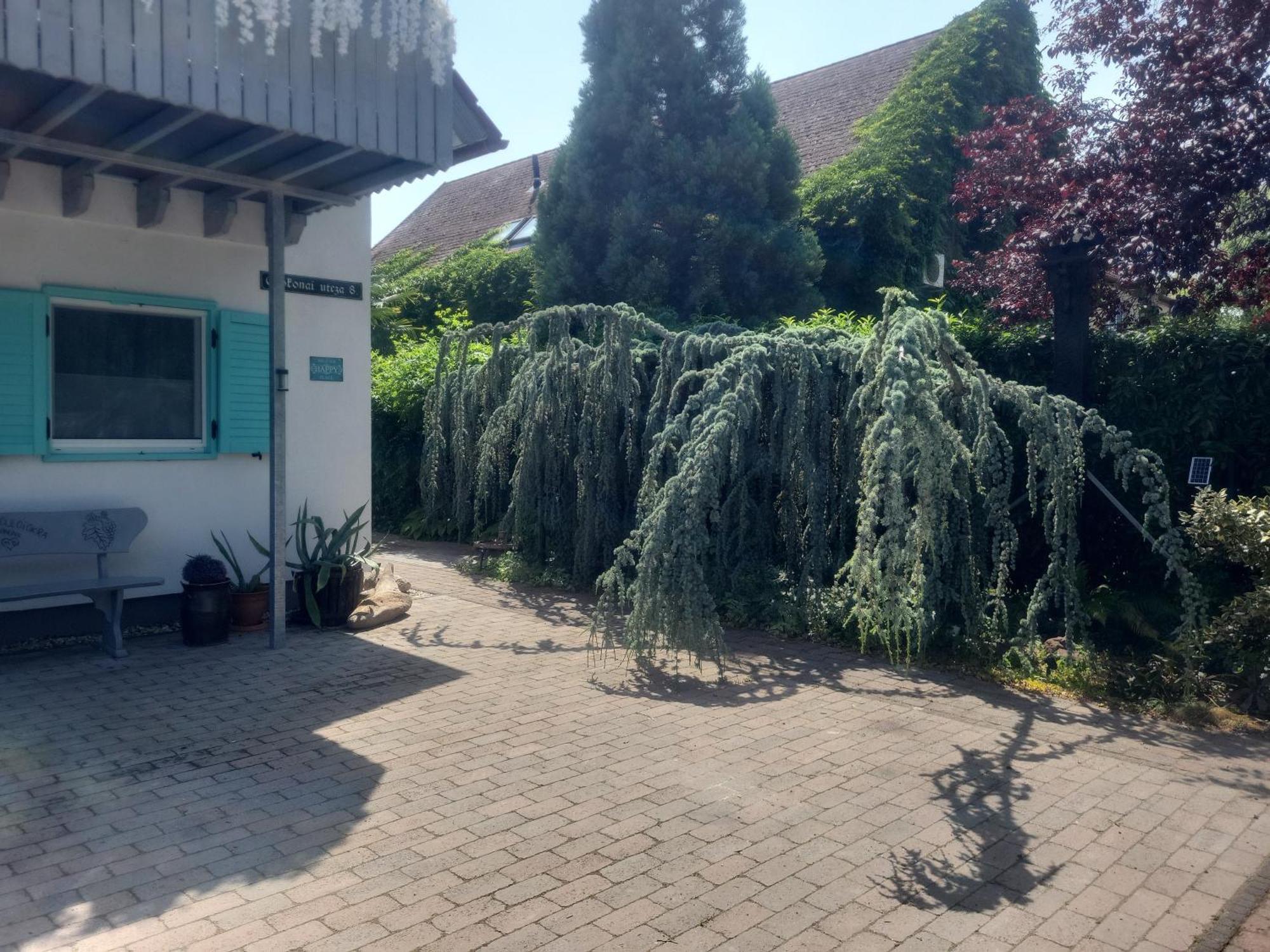 Private With Own Pool And Huge Garden, 150m To Longest Free At Balaton *